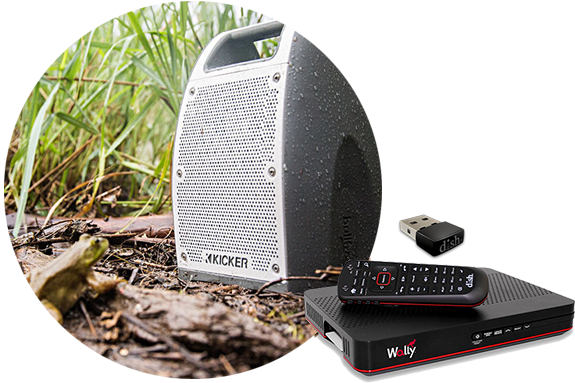 Gray Bullfrog Speaker, Outdoor Speaker